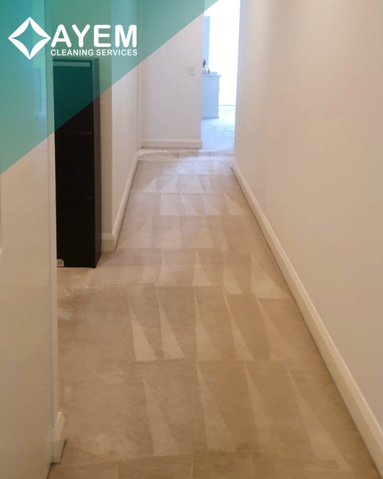 Carpet Cleaning 3